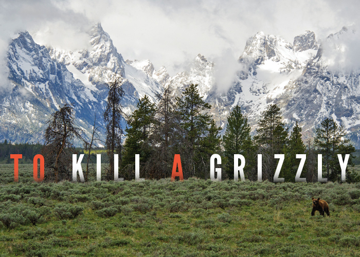 To Kill a Grizzly thumbnail