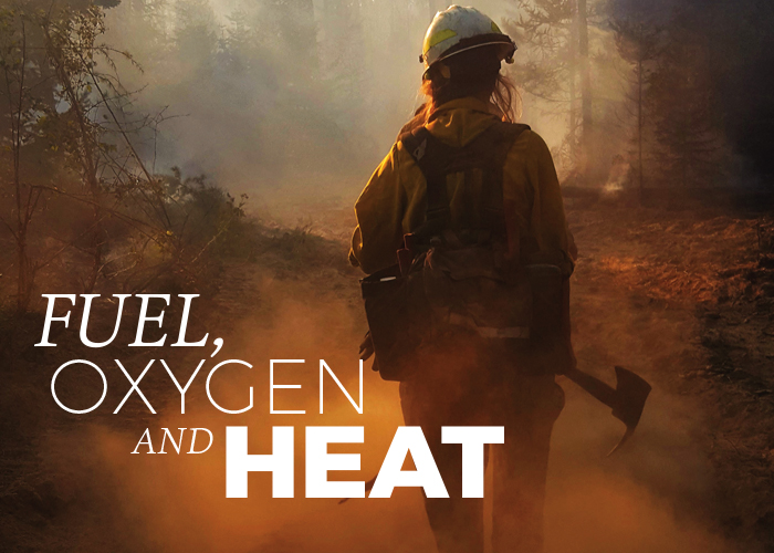 Fuel, Oxygen and Heat thumbnail