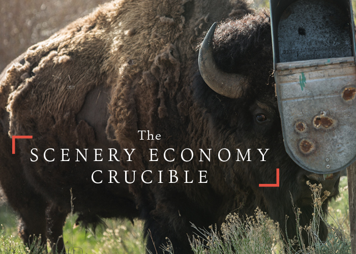 The Scenery Economy Crucible thumbnail