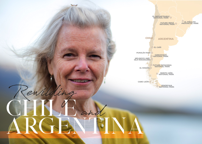 Rewilding Chile and Argentina thumbnail
