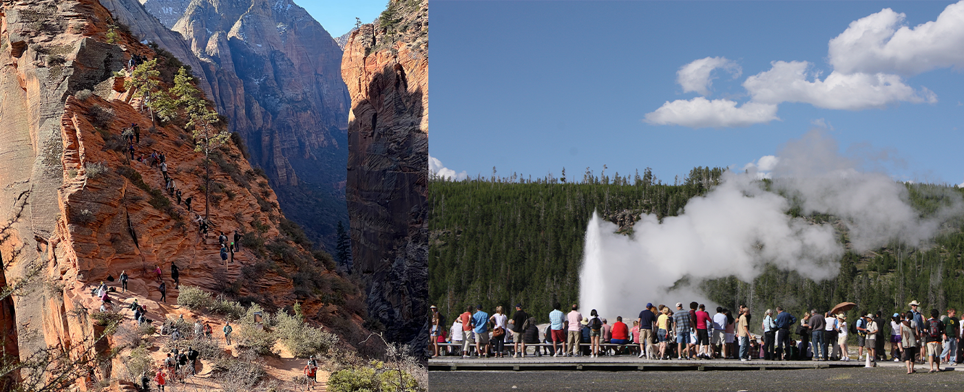 Action Gambling with the Outdoors gambling 1