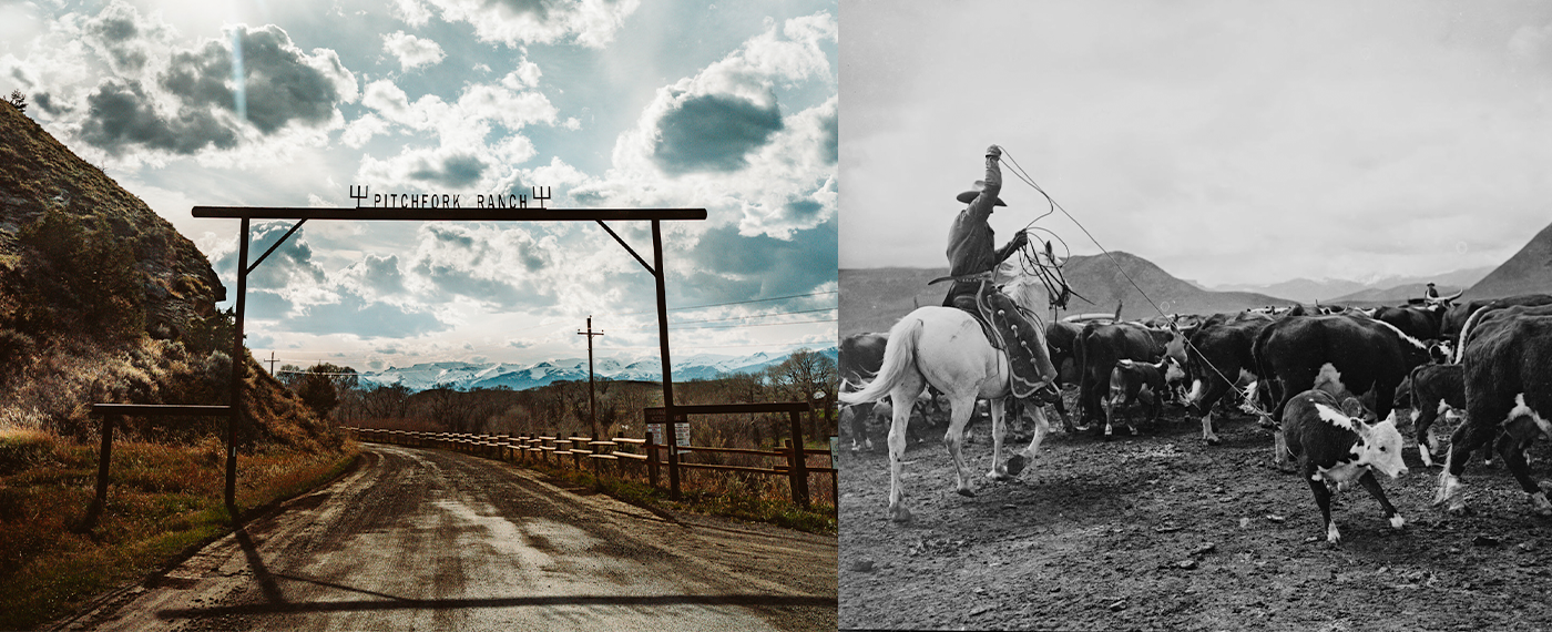 Action Monopoly on the Range range 1