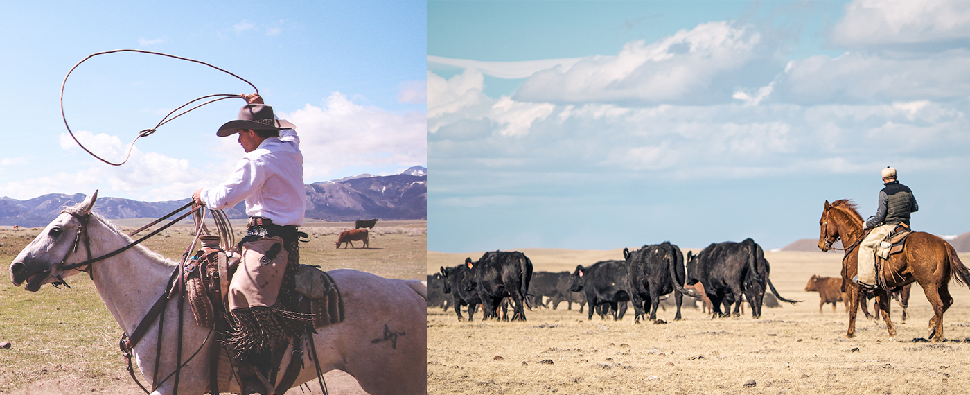 Action Monopoly on the Range range 2