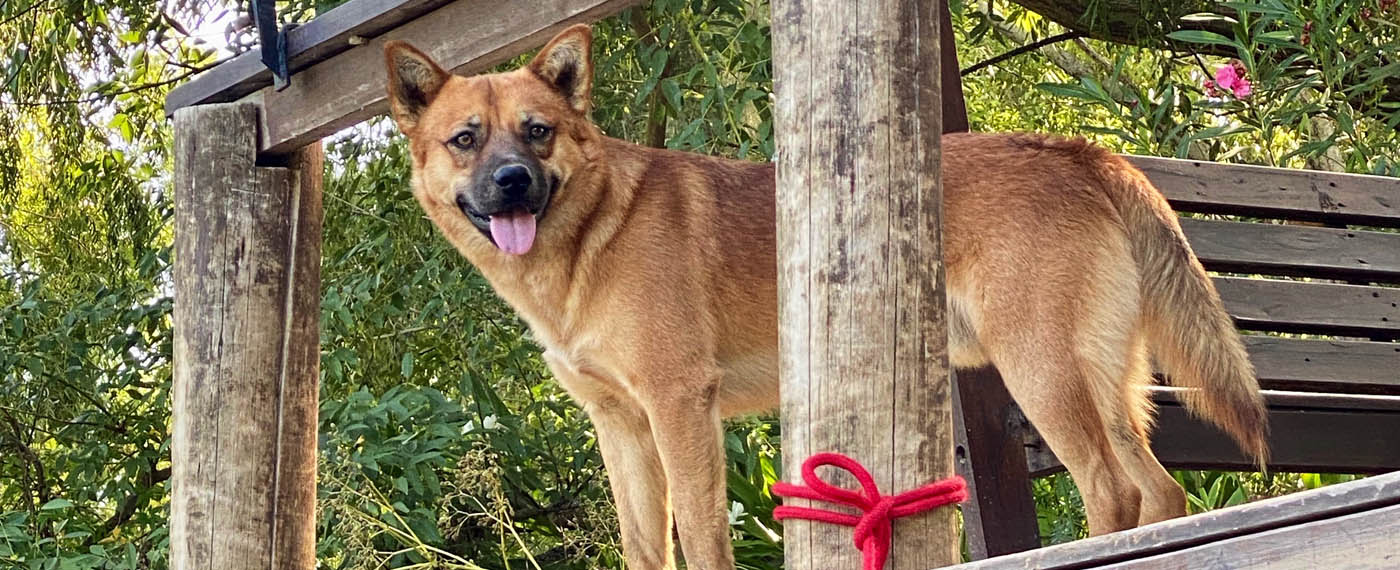 Adventure A Fish Story FishStory photos 5