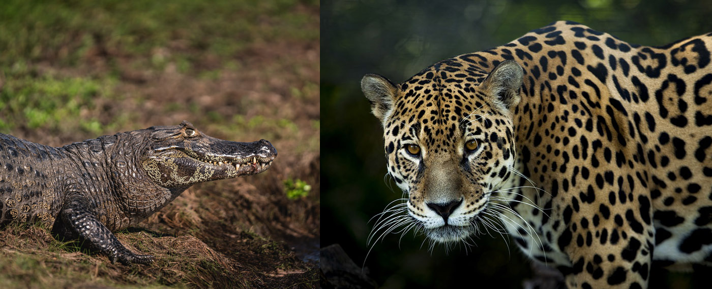 Adventure A Fish Story FishStory photos 7 adj