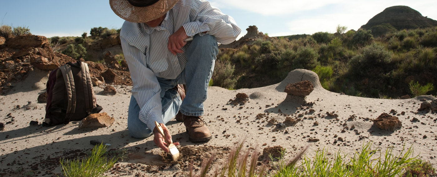 Adventure More than Bones MoreThanBones photos 1