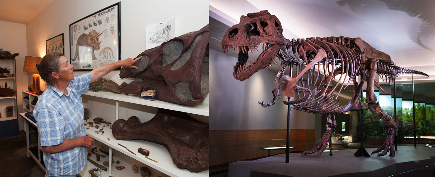 Adventure More than Bones MoreThanBones photos 2