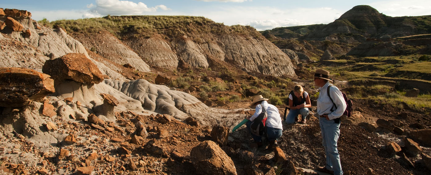 Adventure More than Bones MoreThanBones photos 4