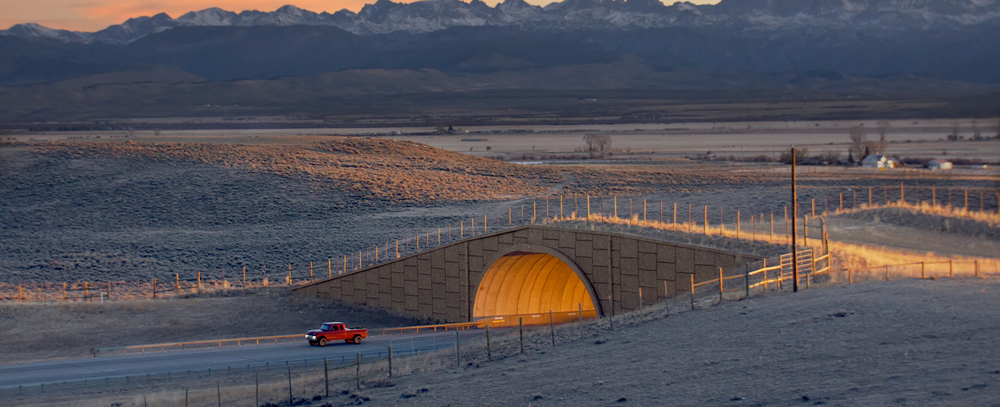 Adversity A Fluid Landscape migration 2