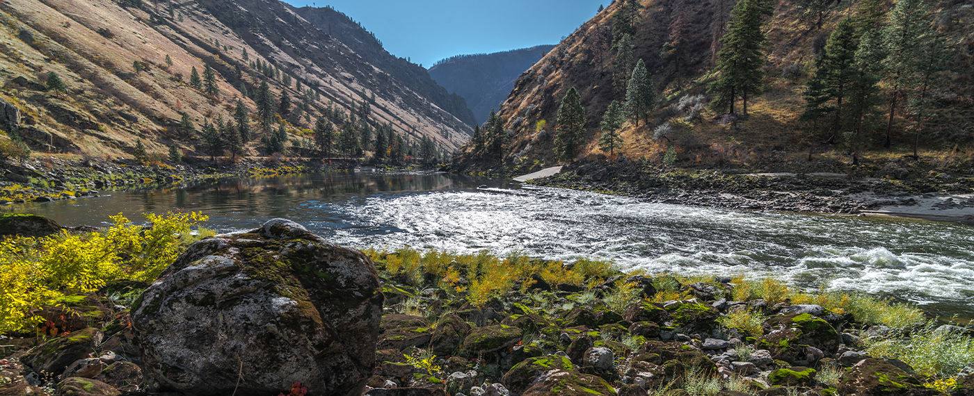 Adversity Graceful Endurance graceful 5