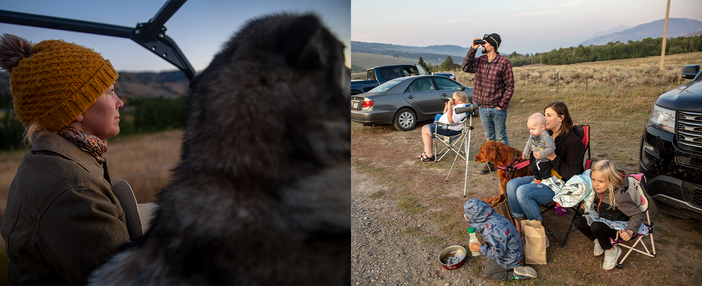 Adversity The Grizzly Dilemma grizzly 1