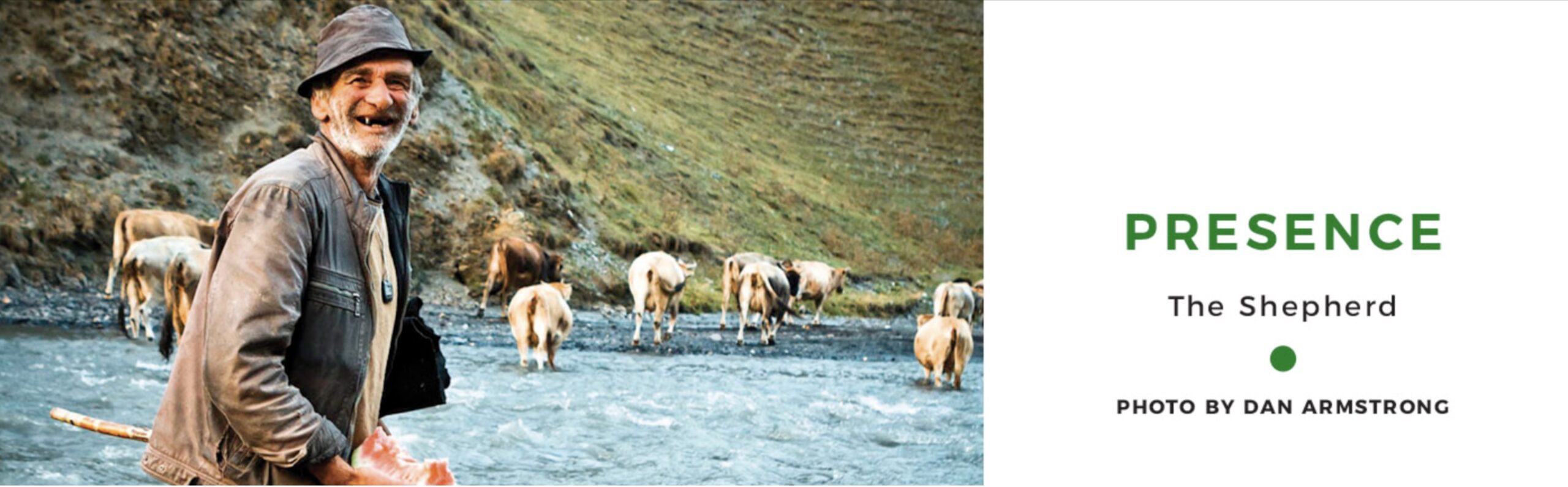 Georgian shepherd herding cattle across river