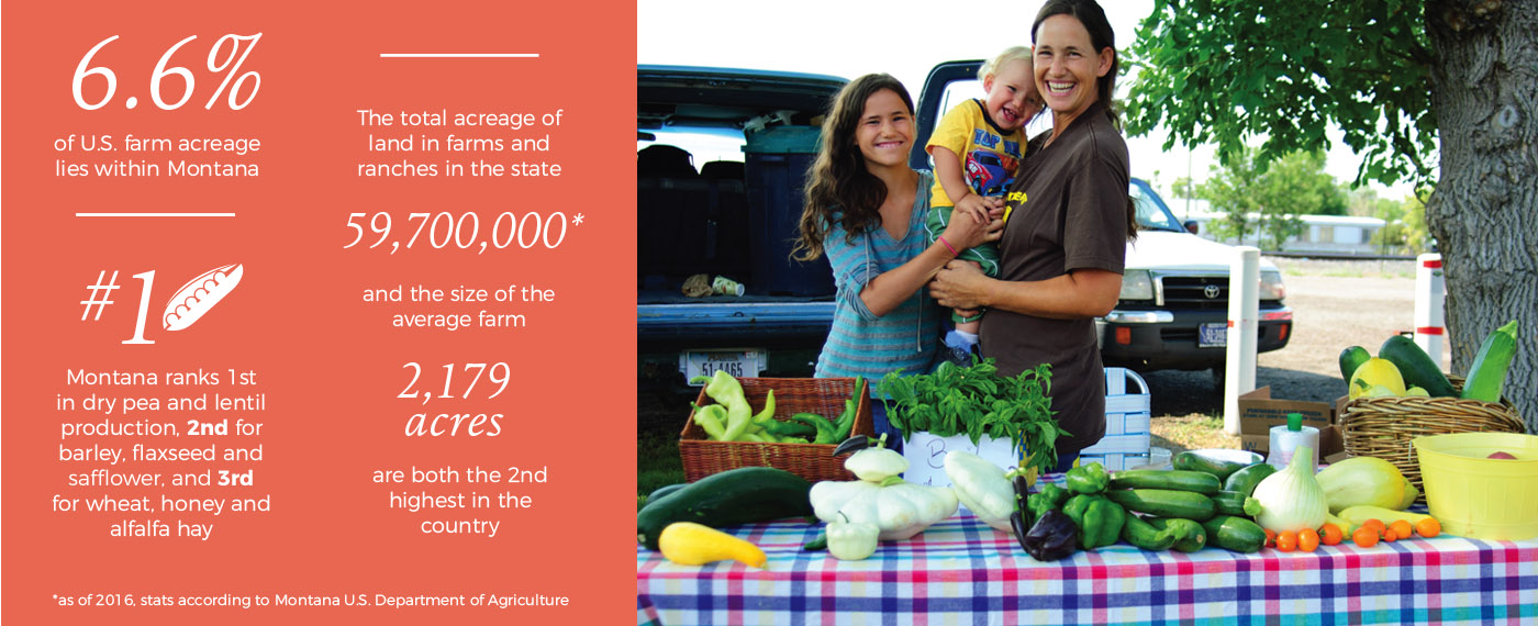 Culture From Soil to Salad soilToSalad 1