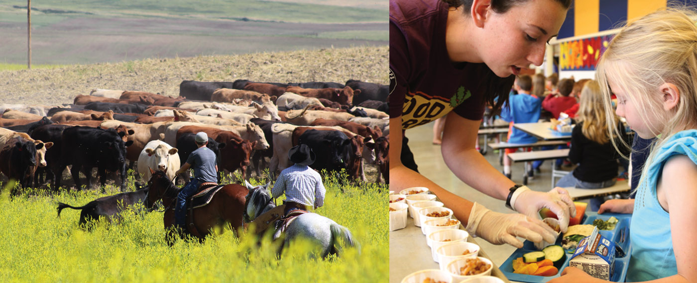 Culture From Soil to Salad soilToSalad 2