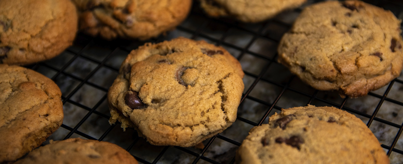 Culture Regen Recipe Guide RegenRecipes photos 4