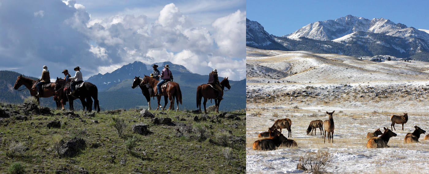 Culture The OTO Rides Again otoRidesAgain 3