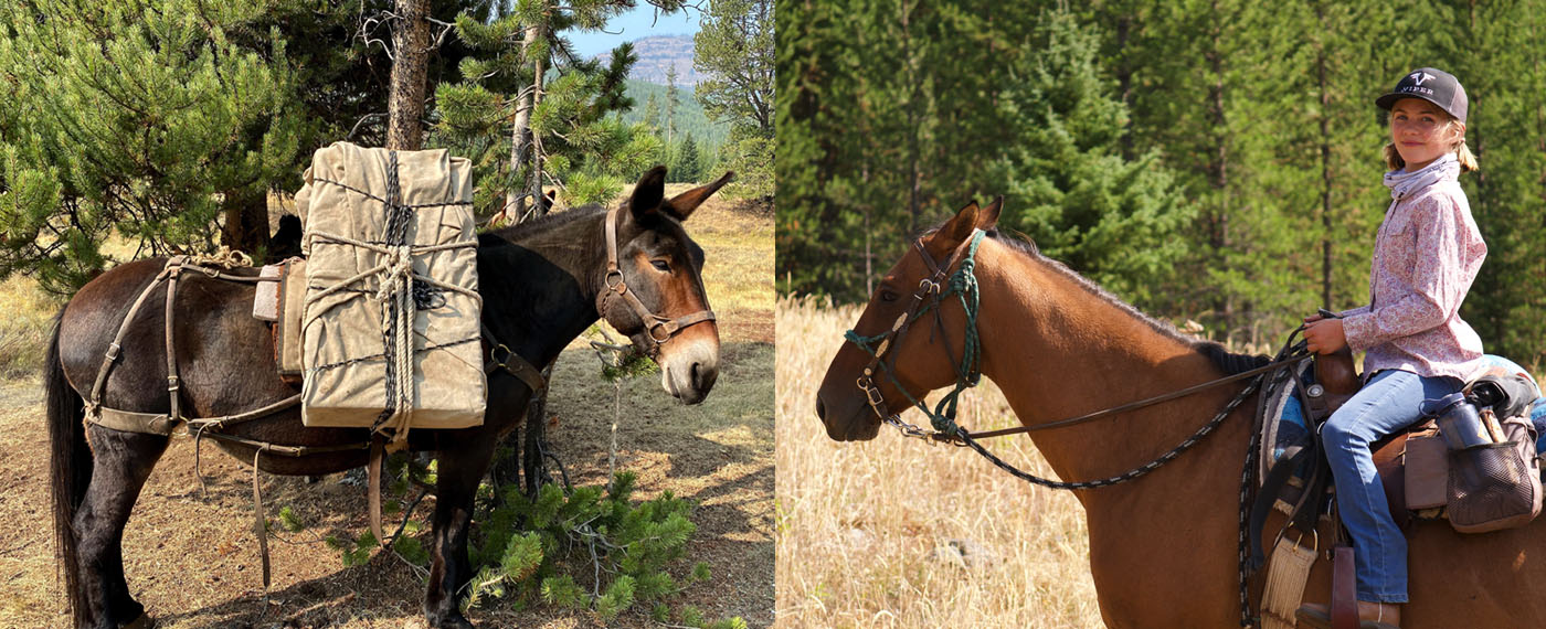 Explore Yellowstone Three Generations Moving 3 MPH ThreeGenerations photos 3