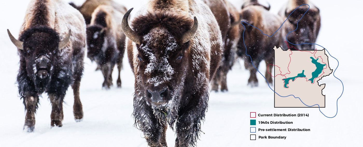 Greater Yellowstone: Peace in the Valleys 2 Greater Yellowstone Peace in the Valleys Peace photos 1