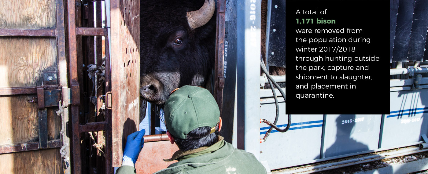 Greater Yellowstone: Peace in the Valleys 3 Greater Yellowstone Peace in the Valleys Peace photos 2