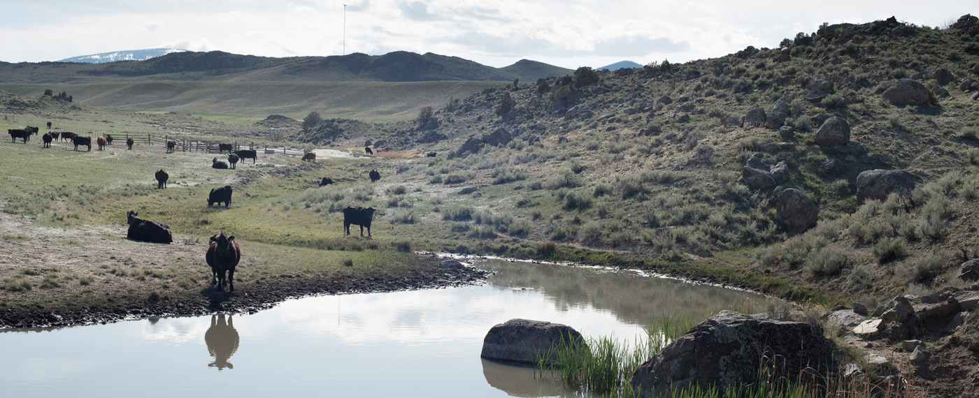 In Montana land transfer threatens the American ranchers way of life ranchersLife photos 1