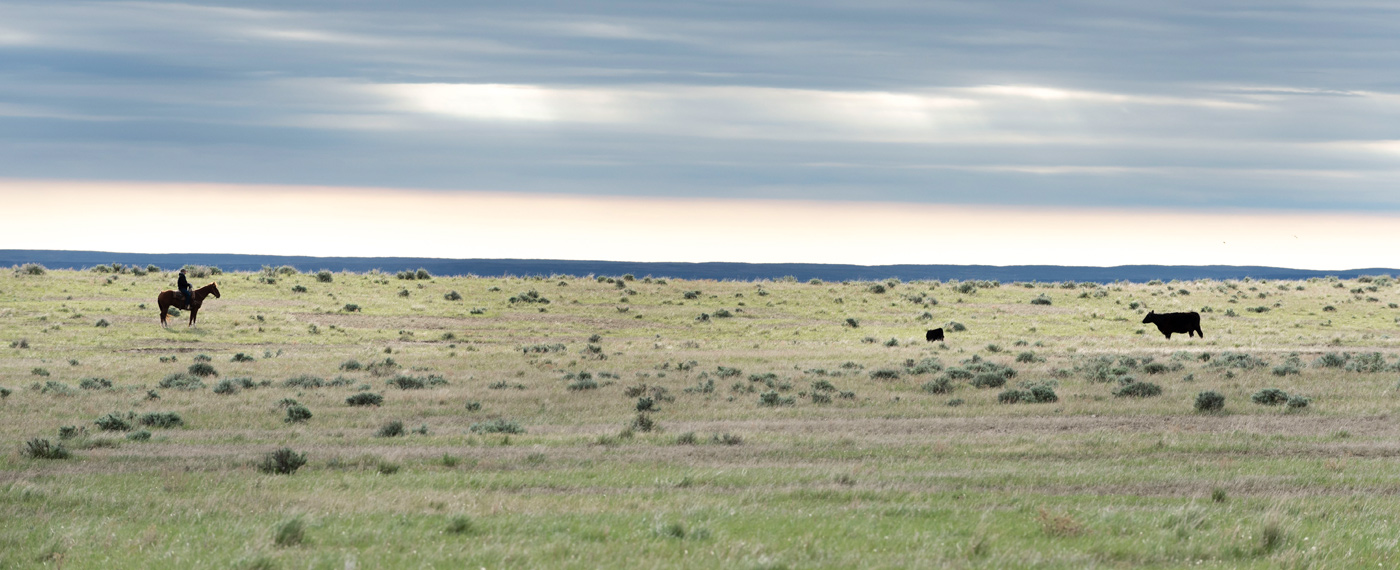 In Montana land transfer threatens the American ranchers way of life ranchersLife photos 5