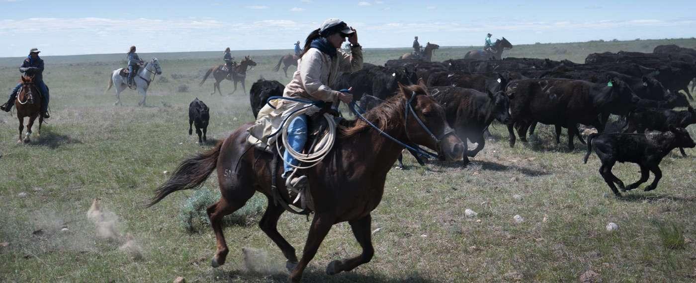 In Montana land transfer threatens the American ranchers way of life ranchersLife photos 6