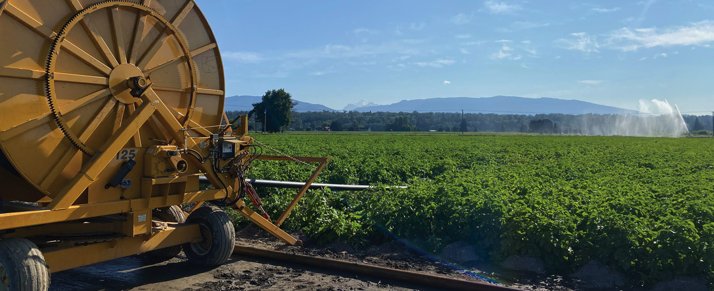 Industry The Brothers Wallace farmTech 4