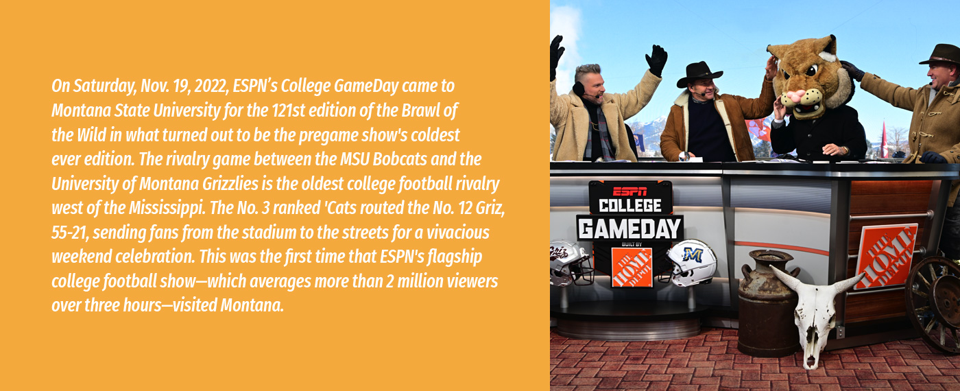 Industry Year of the Bobcat bobcat 3 adj