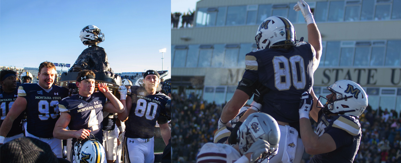 Industry Year of the Bobcat bobcat 4