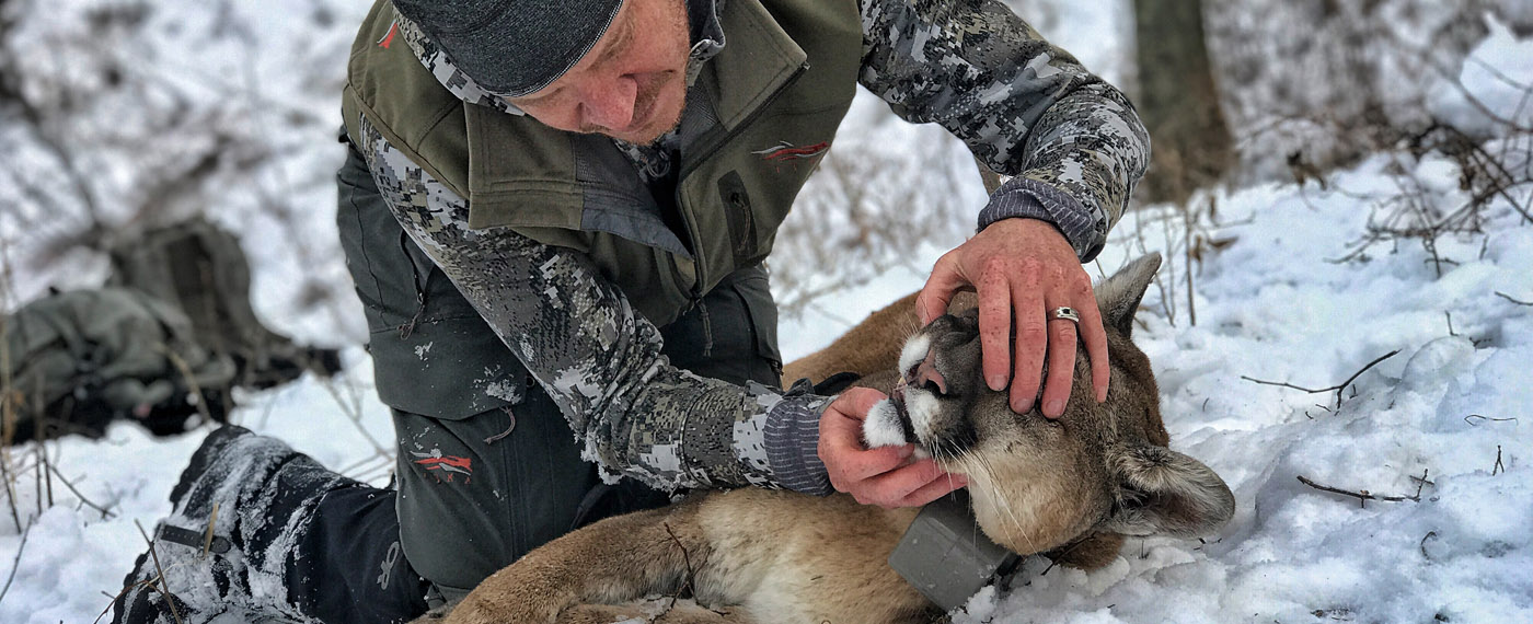 Land Chasing Secrets ChasingSecrets 2