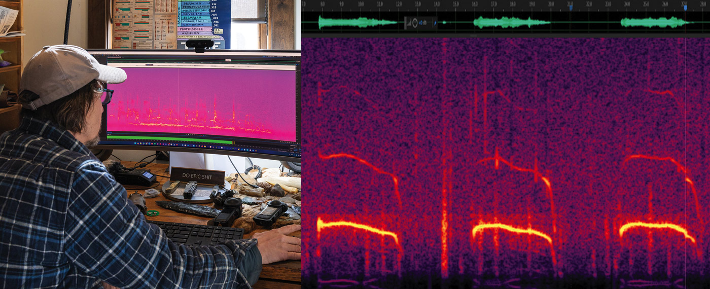 Land Hear them Howl hearHowl 2