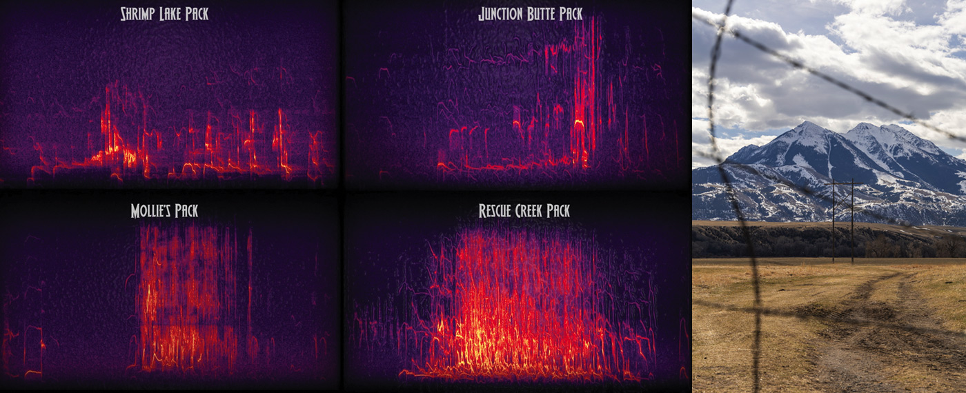 Land Hear them Howl hearHowl 5