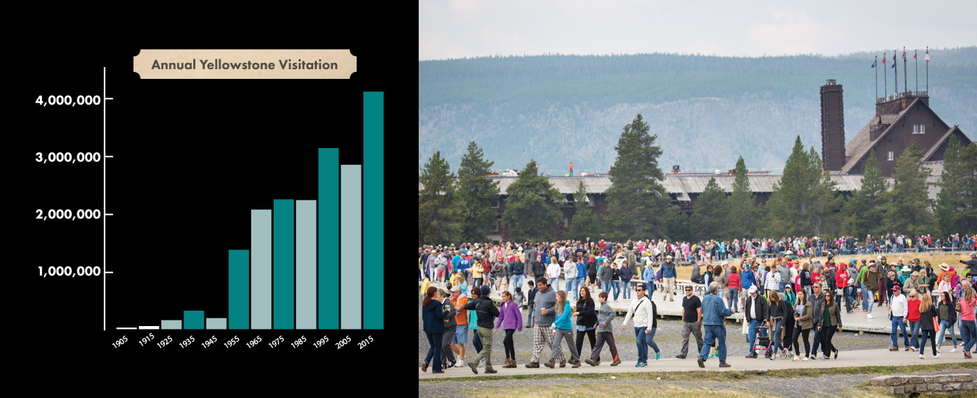 Land Standing Guard for Yellowstone visitorChart