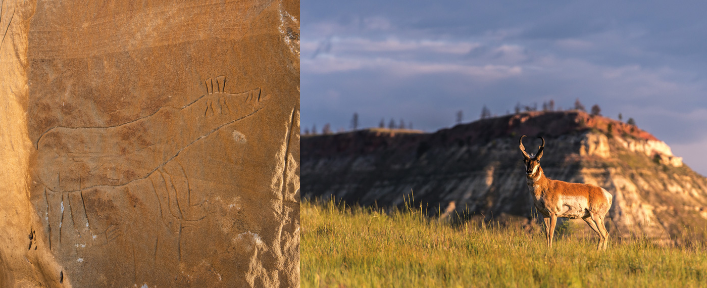 Land This Is My Prairie myPrairie 2
