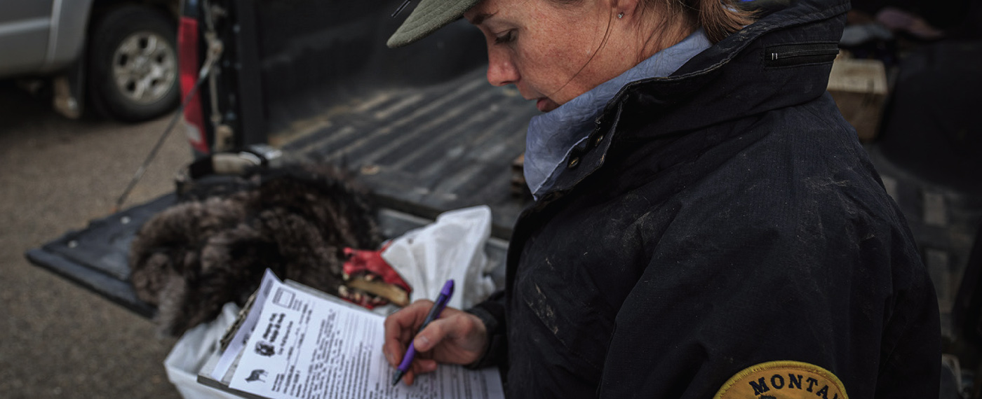 Land Where Wolves Dare WhereWolvesDare photos5