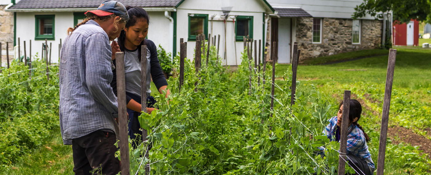 Land Yvon Chouinard Thinks Food Could Save the Planet YvonChoinard 1