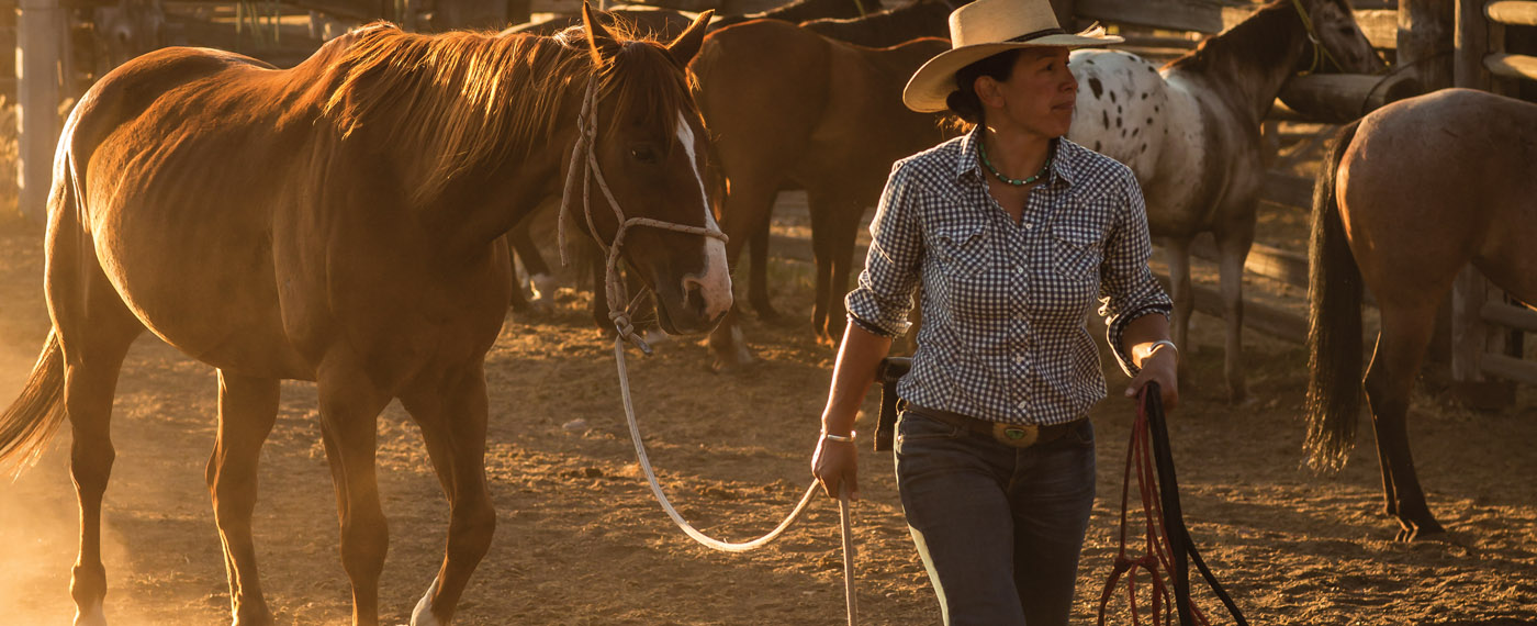 Now Facing the West Wind FacingWestWind 3