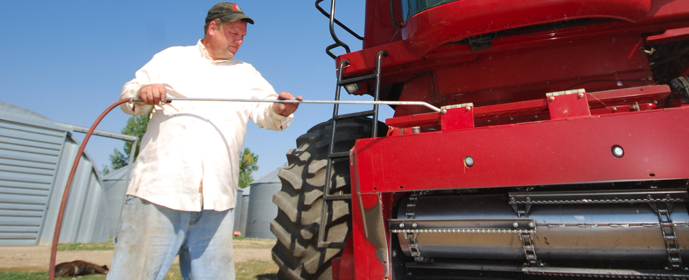 Now Facing the West Wind FacingWestWind 4