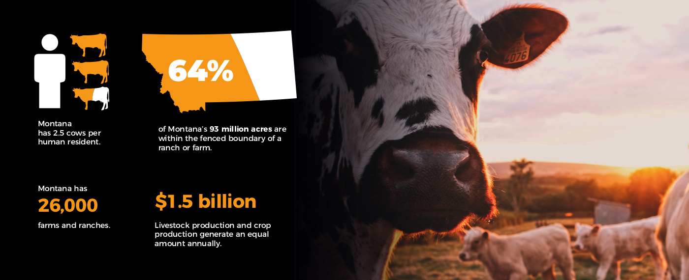 Now Fake Beef in Cattle Country FakeBeef photos 2