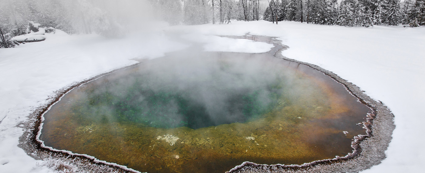 Now Plastic Runs Through It Plastic photos 2