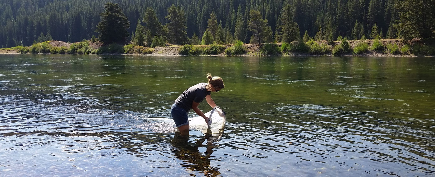 Now Plastic Runs Through It Plastic photos 2 new