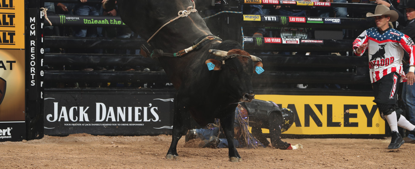 Now The Life of Bucking Bulls Bucking 2