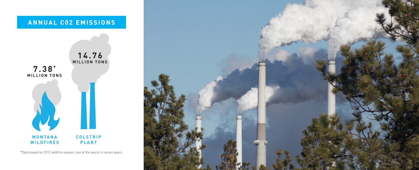 Now Thin Black Line GraphPlant