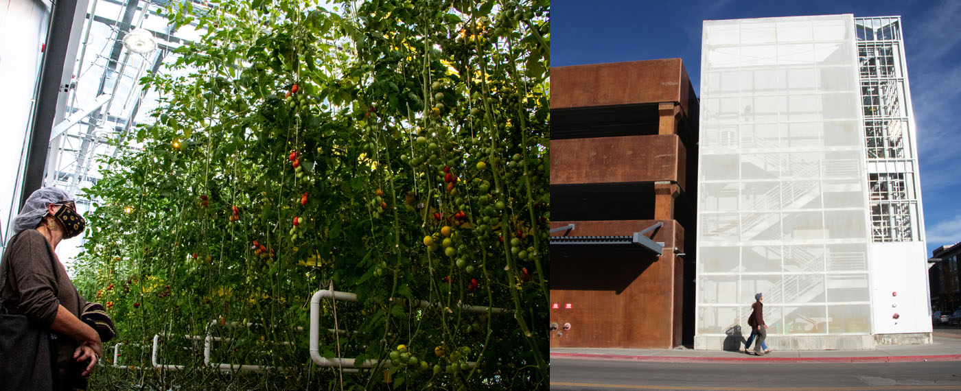 Outlook To the Light ToTheLight 1