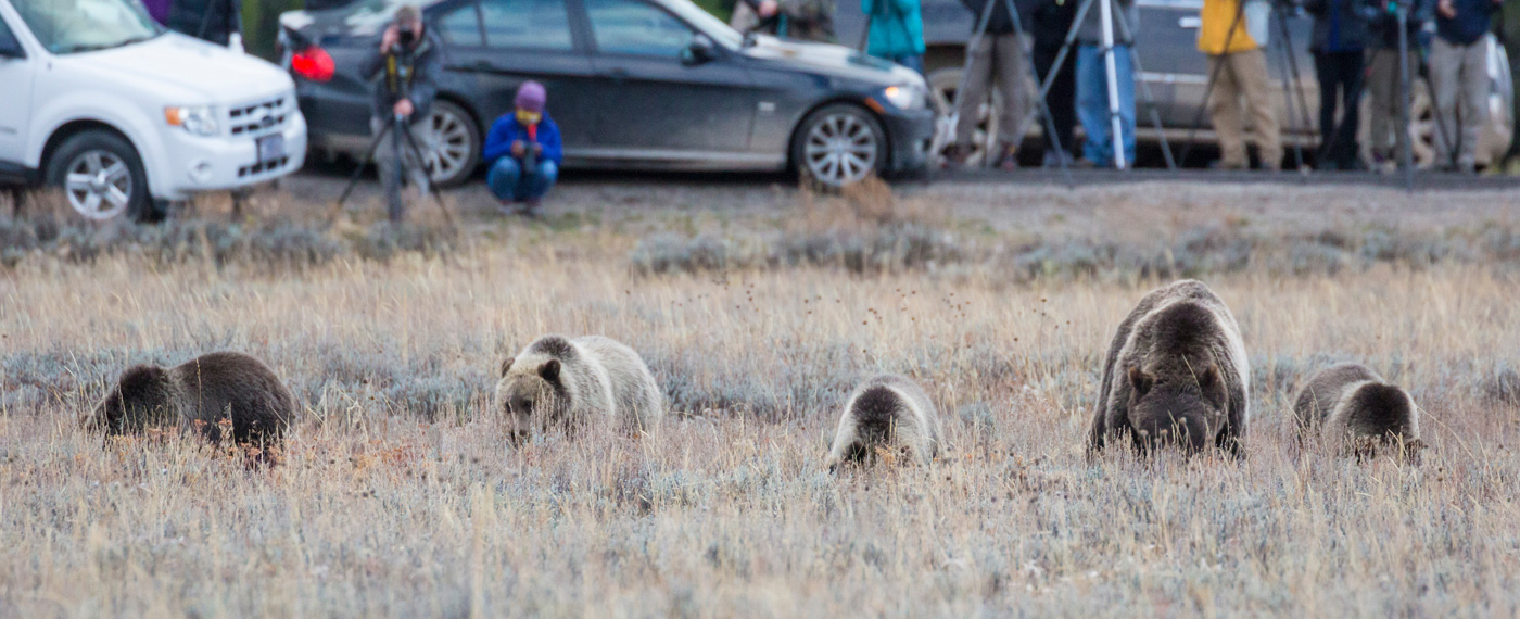 Featured Outlaw: Honoring the Queen of the Tetons 3 QueenOfTetons 2
