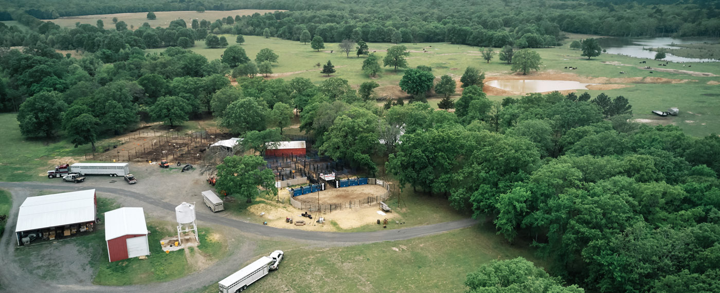 Reports The Real McCoy RealMcCoy 1