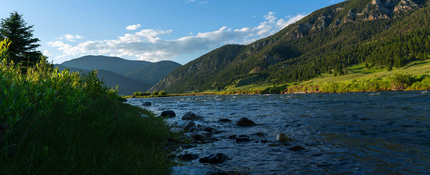 Taking Action Updates on Issues Facing the Greater Yellowstone Ecosystem actionUpd 1