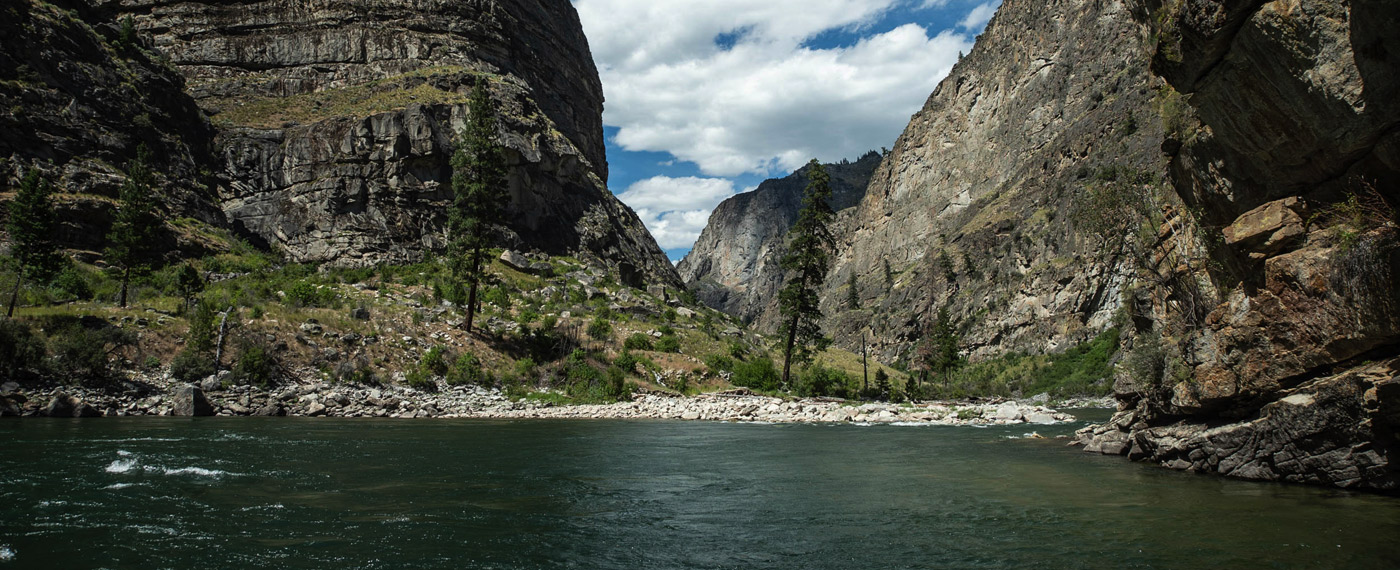 Taking Action Updates on Issues Facing the Greater Yellowstone Ecosystem actionUpd 3
