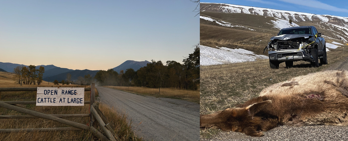 Land: Yellowstone's Frontline Protectors 2 YellowstoneProtectors 1