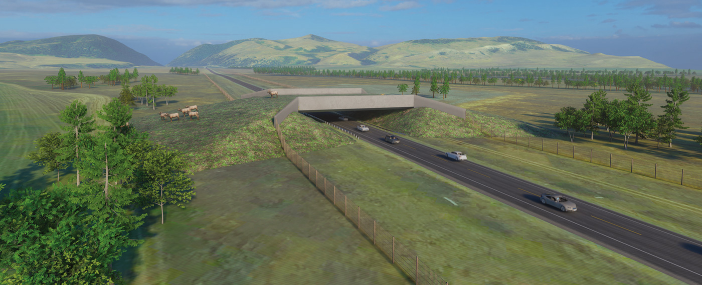 Land: Yellowstone's Frontline Protectors 4 YellowstoneProtectors 3